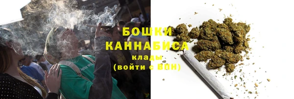 прущий лед Абаза
