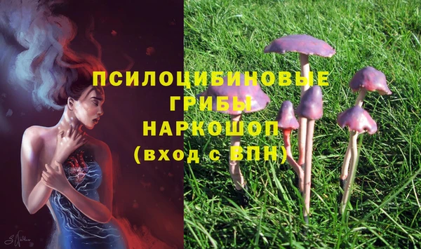 прущий лед Абаза