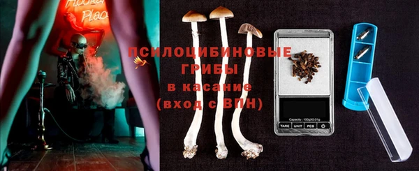 прущий лед Абаза