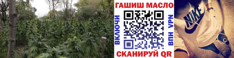 Дистиллят ТГК THC oil  мега вход  Каргополь 