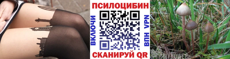 Галлюциногенные грибы MAGIC MUSHROOMS  цены наркотик  Каргополь 